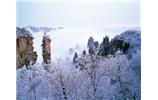 春節(jié)旅游：張家界、袁家界、天子山、寶峰湖/黃龍洞度假二晚三日游